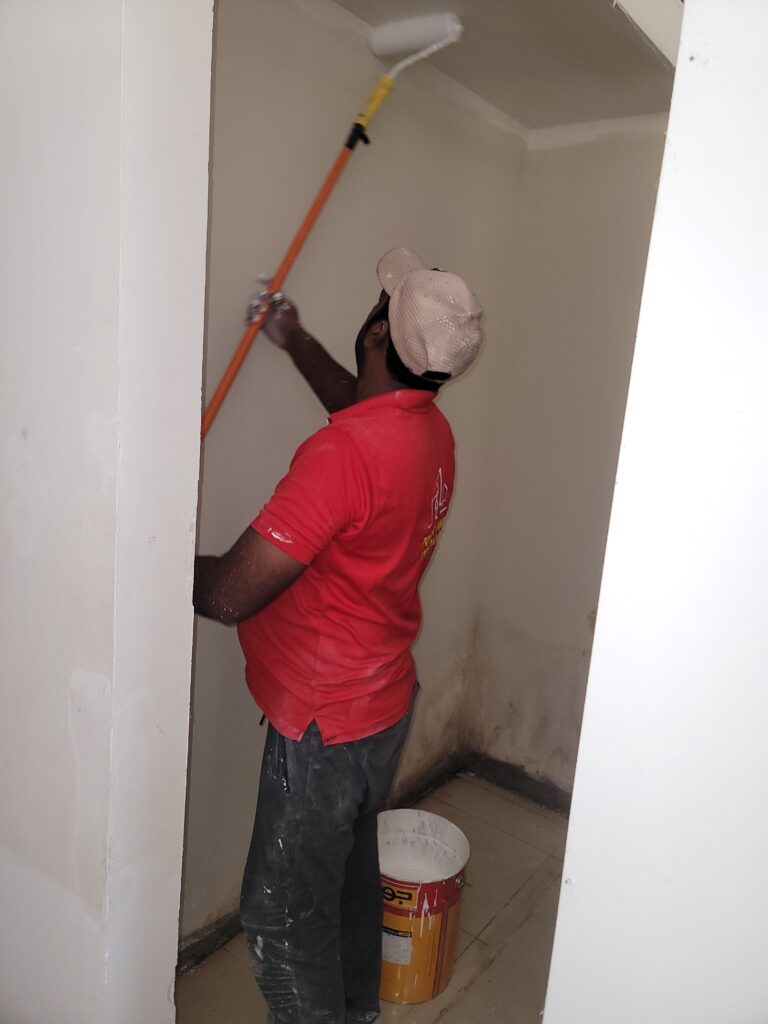 Paint and Wall Repairs